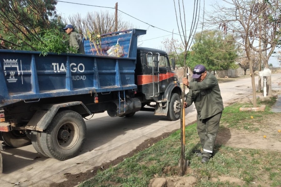 Comenzó la plantación de más de 3.700 árboles en El Vinalar