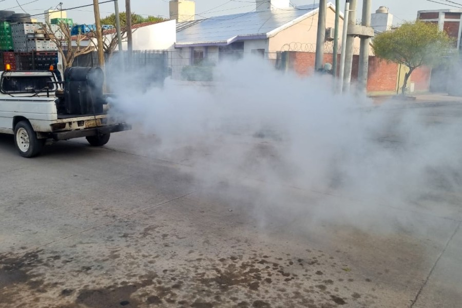 La Municipalidad refuerza la fumigación en barrios capitalinos esta semana