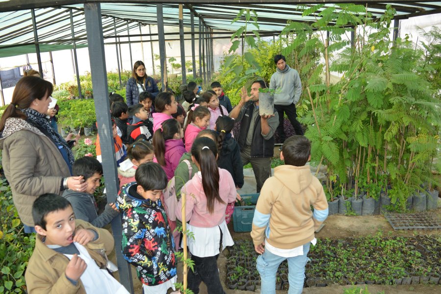 Educación ambiental en acción: Alumnos de Frías visitaron el Vivero Municipal