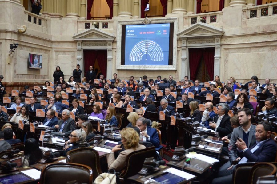 Duro revés para el Gobierno: Media sanción a la emergencia pediátrica y fondos para el Garrahan