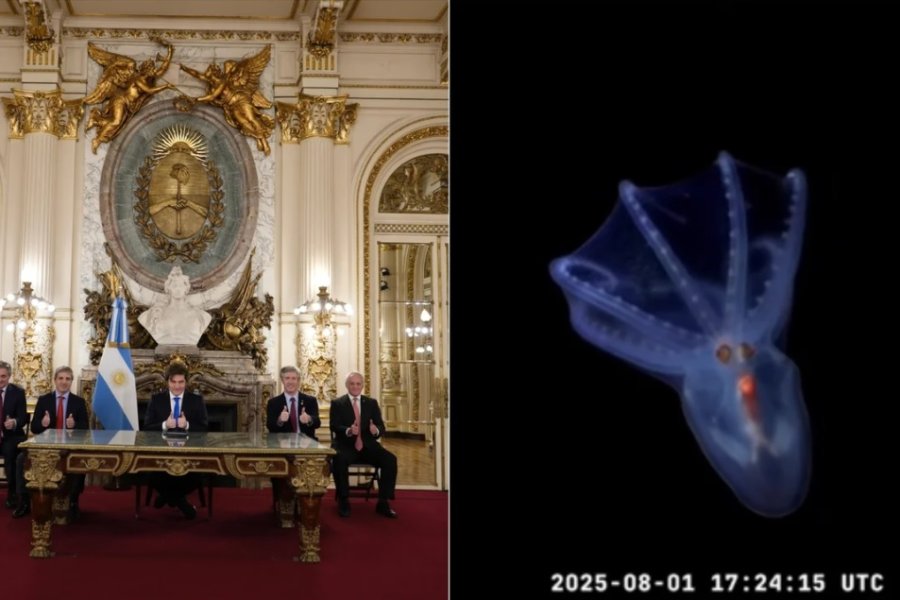 La cadena nacional de Javier Milei no llegó ni al 1% de las visualizaciones del streaming del Conicet