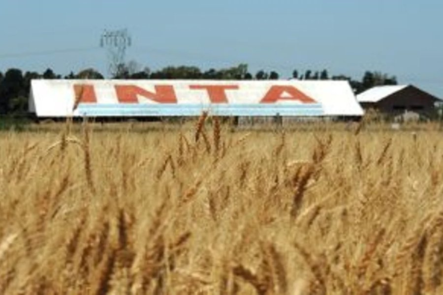 El Gobierno avanza con la reducción de la estructura del INTA