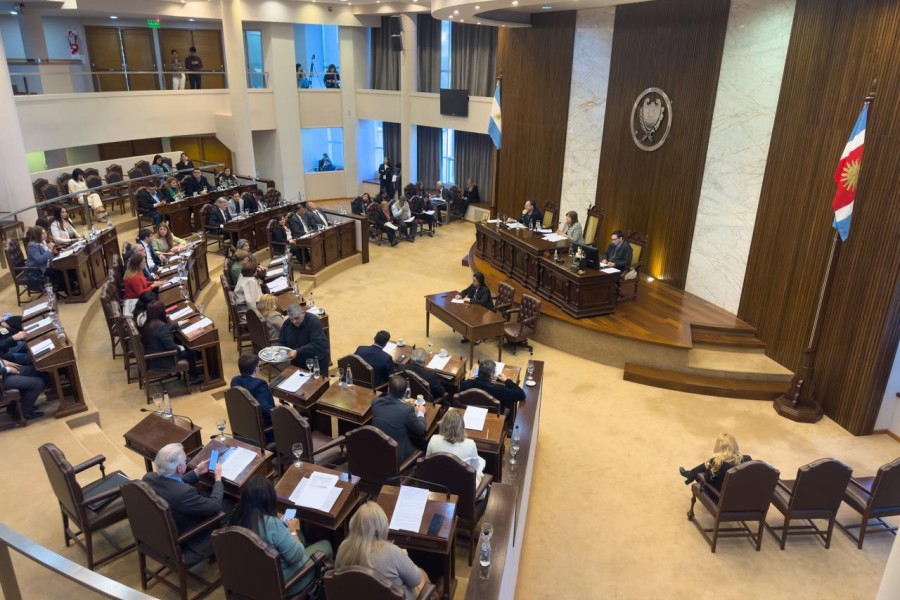 La Legislatura declaró de interés provincial una conferencia internacional por la paz y múltiples eventos culturales
