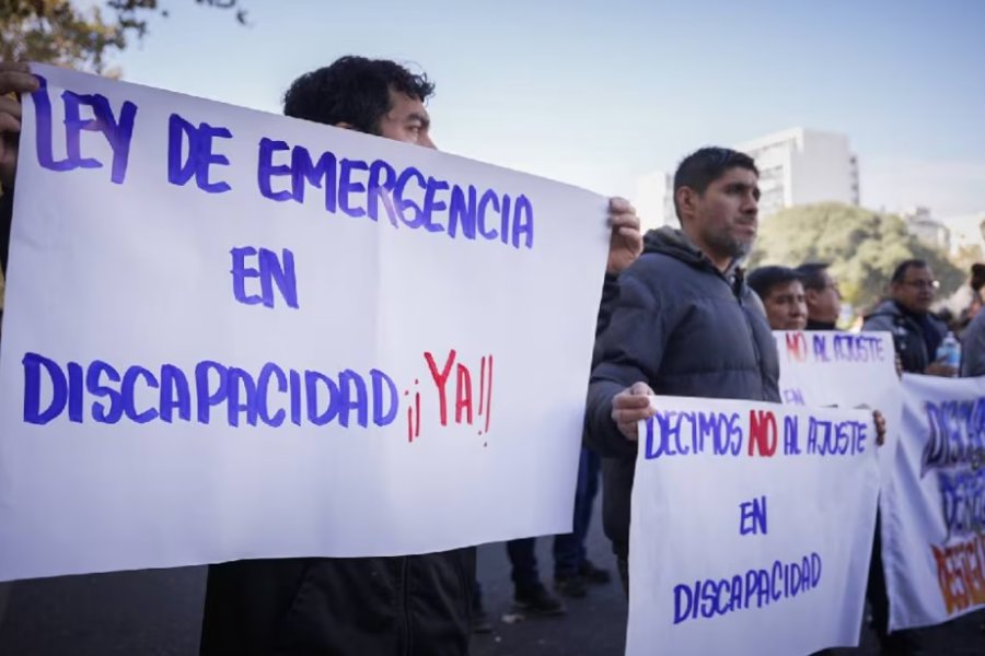 Un juez federal declaró nulo el veto de Milei a la ley de emergencia en discapacidad