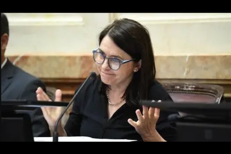 Senadora del PRO: «No creo que los niños argentinos tengan derecho al Garrahan»