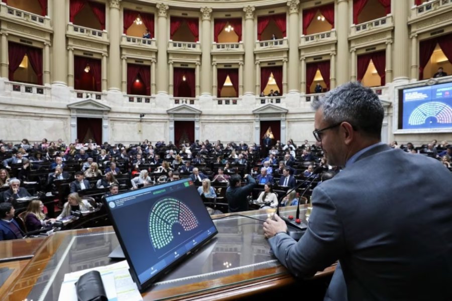 Una por una, qué implican las leyes que fueron vetadas por Milei y se discuten en el Congreso