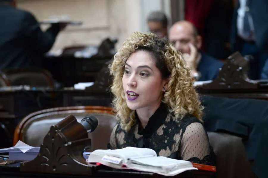 Diputados libertarios crean nuevo bloque legislativo: Se llamará “Coherencia”