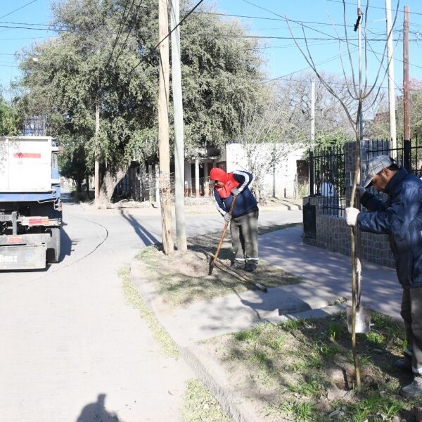 La Municipalidad plantará más de 3.000 árboles en Huaico Hondo