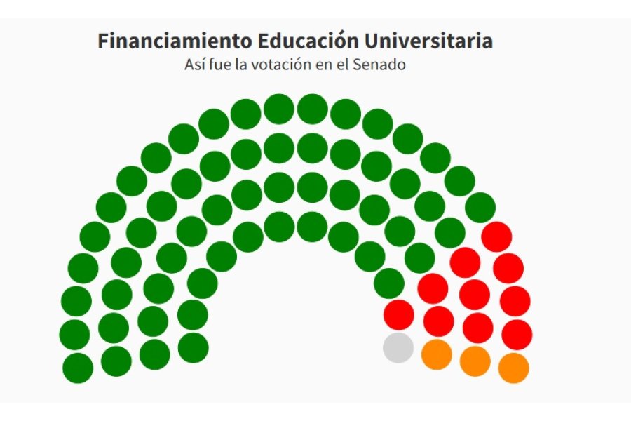 El Senado convirtió en ley el Financiamiento Universitario y continúa debatiendo aumentos para el Garrahan