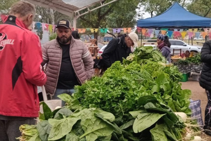 Termas: Feria Municipal Itinerante