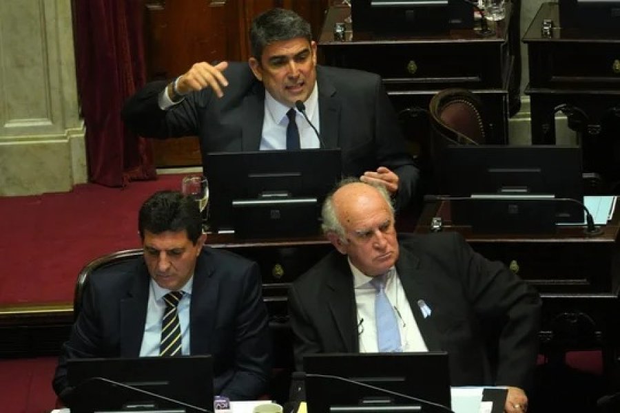 Senado: La oposición avanza con un proyecto que modifica el régimen legal de los decretos