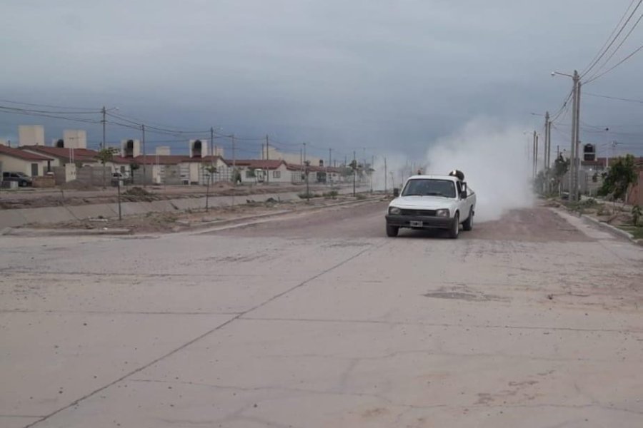 La Municipalidad dio a conocer el cronograma semanal de fumigaciones preventivas