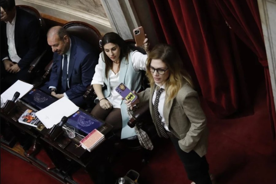Revelan un chat entre Lilia Lemoine y Martín Menem en plena sesión: «Es culpa de Santi Caputo»