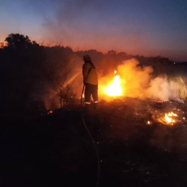 Sofocan tres incendios forestales en el sur de Santiago del Estero