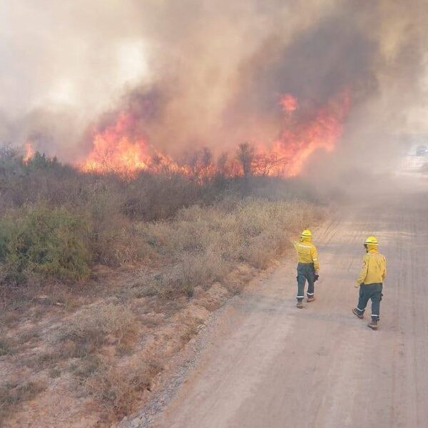 Termas: Bomberos combatieron incendios cerca de Mansupa y del dique frontal