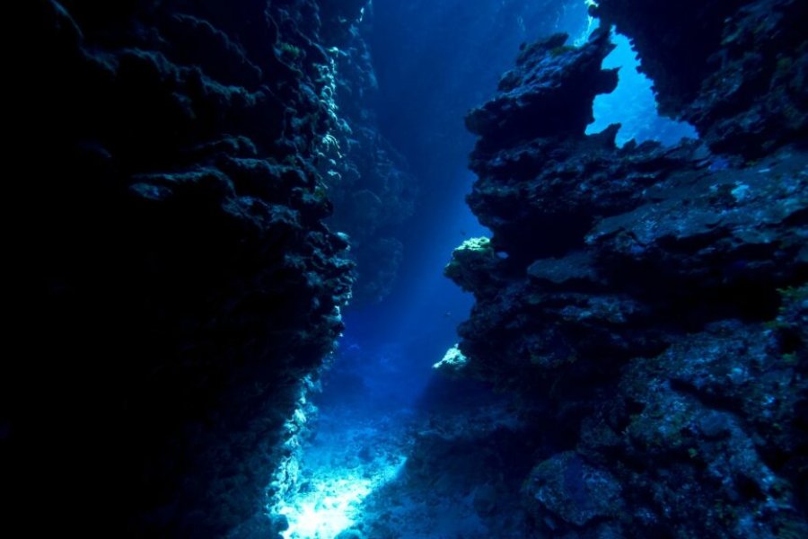 Ciencia argentina explora el fondo del mar por streaming tras un primer éxito.