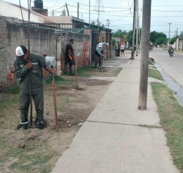 La Municipalidad comenzó la plantación de más de 2.300 árboles en el barrio La Católica