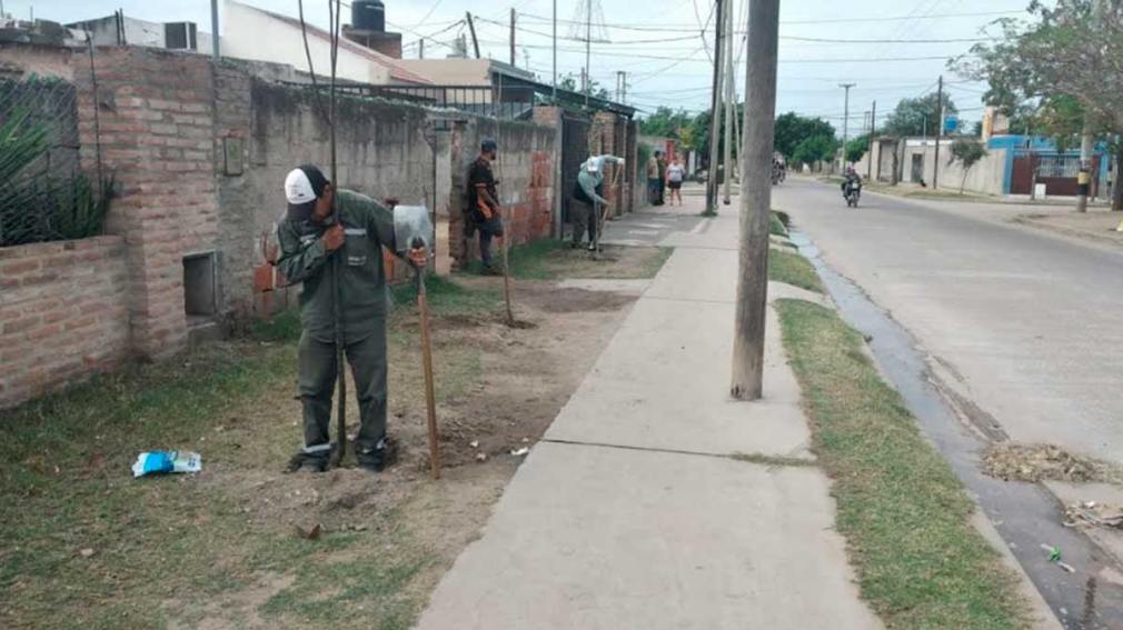 La Municipalidad comenzó la plantación de más de 2.300 árboles en el barrio La Católica