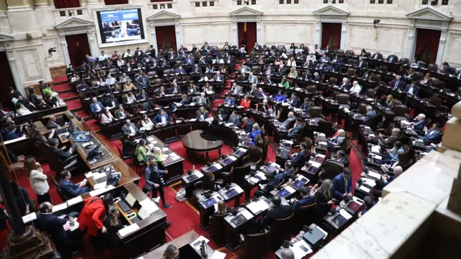 La oposición va por una nueva victoria en el Congreso: Buscará aprobar la limitación a los DNU
