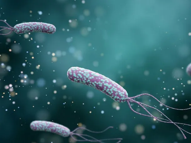 Alertan por los riesgos del Helicobacter pylori, una bacteria «silenciosa» que afecta al 50 por ciento de los argentinos