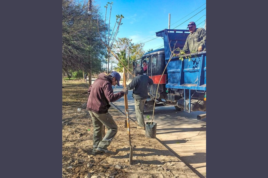 La Municipalidad inició la plantación de más de 2.300 árboles en el barrio Juan Díaz de Solís