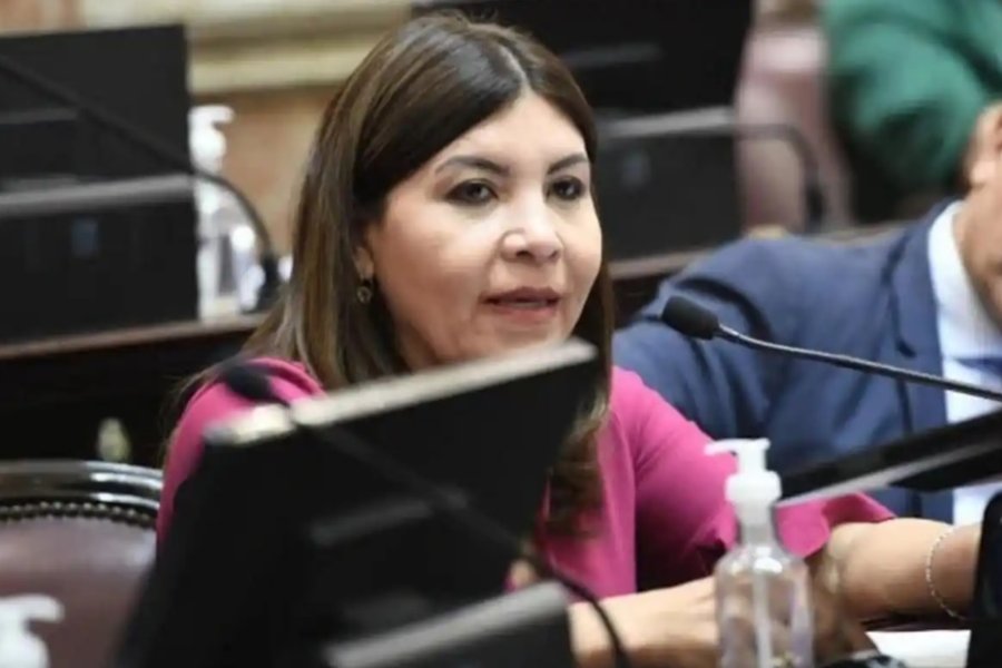 La senadora Mendoza aseguró sobre Milei: «No creo que llegue al 26 de octubre»