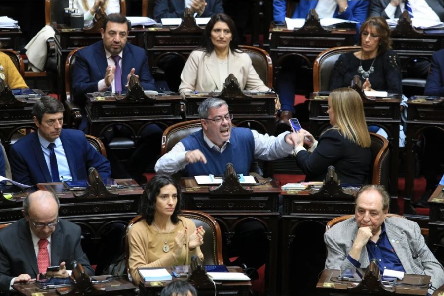 Diputados: La oposición avanzará con el tratamiento de la ley que limita los DNU