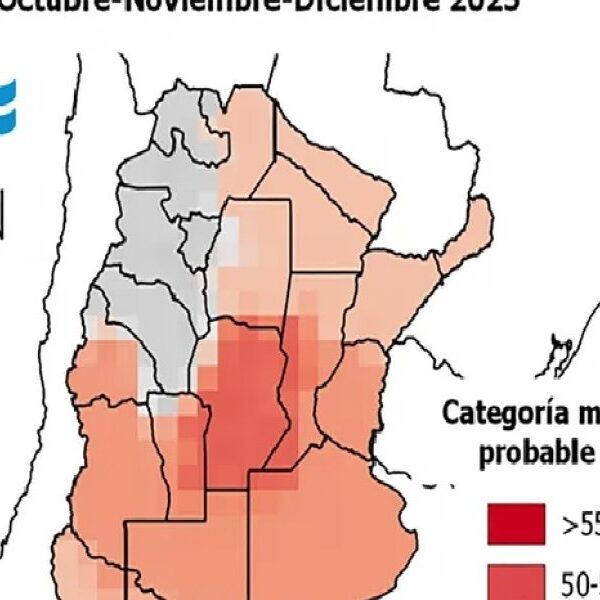 Alerta por fuerte ola de calor: anticipan que azotará al país desde octubre y al menos hasta diciembre