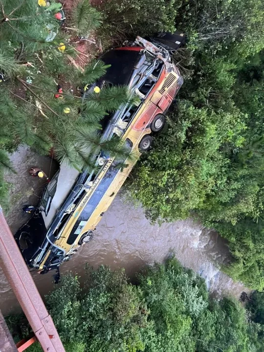 Tragedia en Misiones: Un micro cayó a un arroyo y provocó al menos 7 muertes Tragedia en Misiones: Un micro cayó a un arroyo y provocó al menos 7 muertes