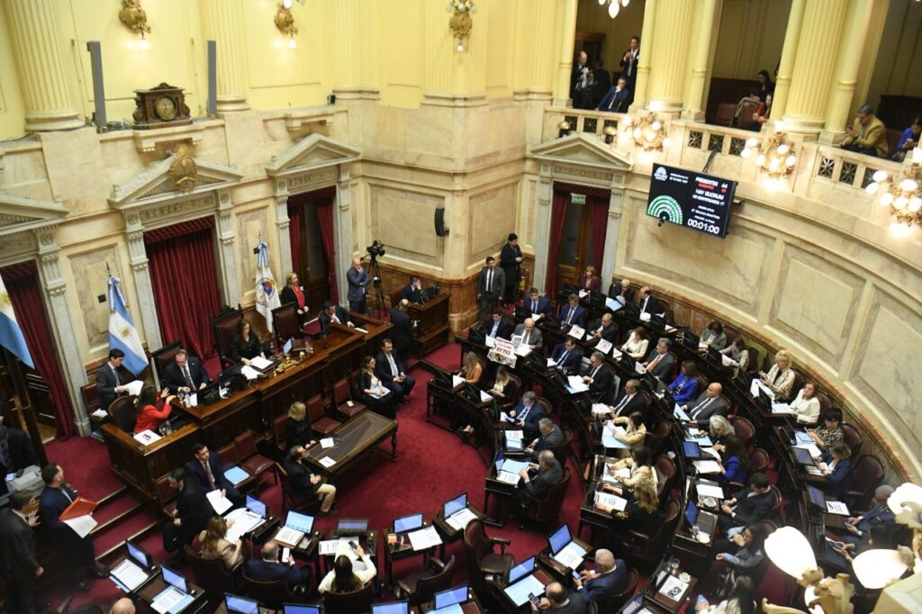 El Senado resolvió insistir con la sanción de las leyes de emergencia pediátrica y financiamiento universitario