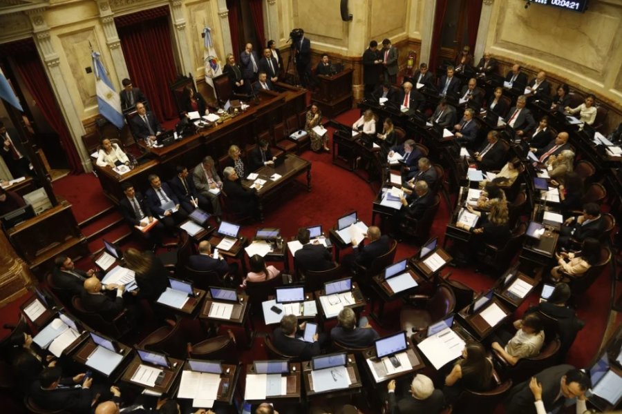 El Senado sesionará este jueves para rechazar los vetos de Milei en Garrahan y universidades
