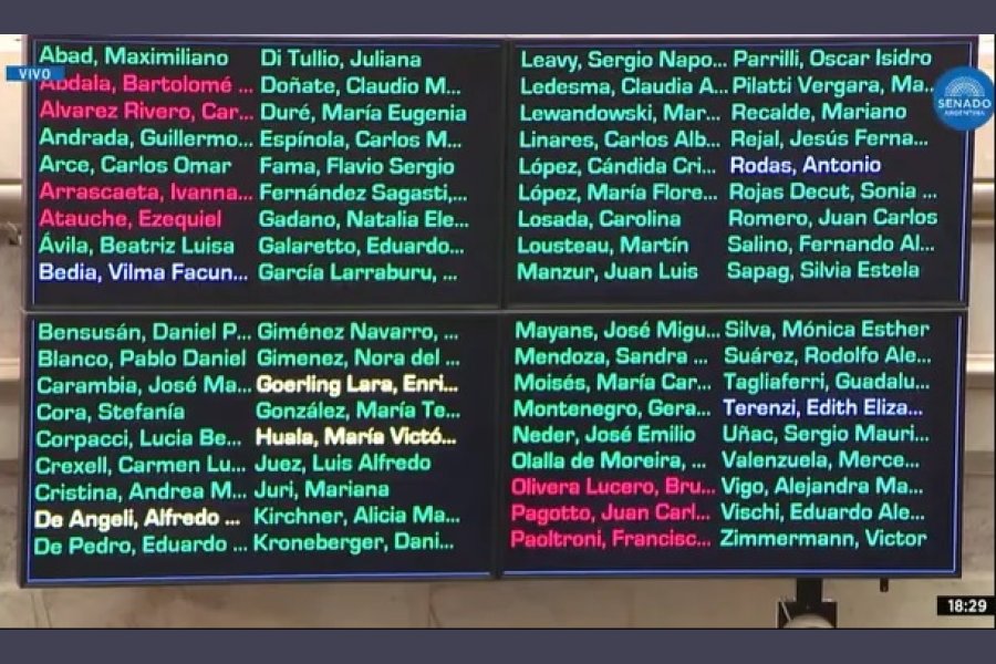 Quiénes son los 7 senadores que le dieron la espalda al Hospital Garrahan y al Financiamiento Universitario