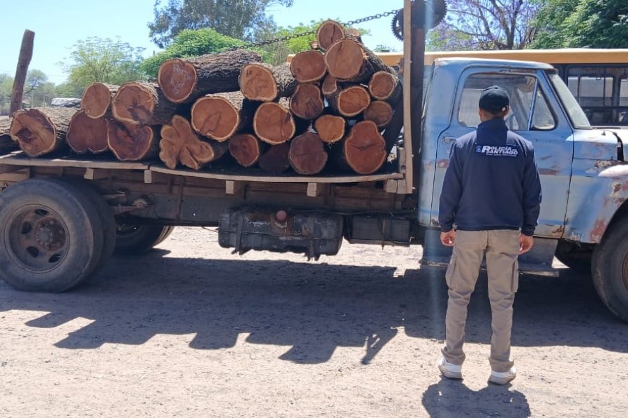 Recuperan vigas de algarrobo valuadas en más de 2,5 millones y detienen a dos hombres en Loreto