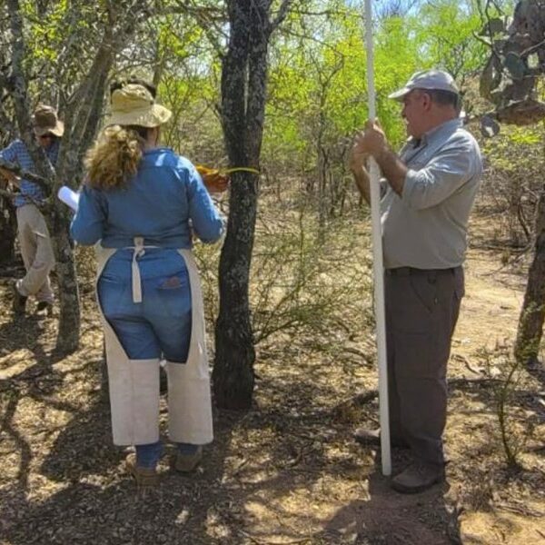 El INTA Santiago asistirá técnicamente a cuatro planes de manejo de bosques