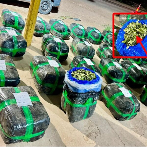 Campo Gallo: Secuestran 538 kilos de hojas de coca que se iban a usar para hacer droga