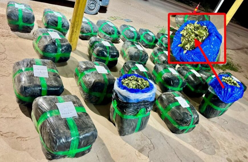 Campo Gallo: Secuestran 538 kilos de hojas de coca que se iban a usar para hacer droga