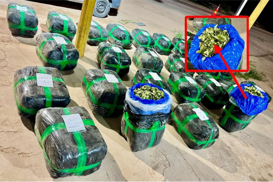 Campo Gallo: Secuestran 538 kilos de hojas de coca que se iban a usar para hacer droga