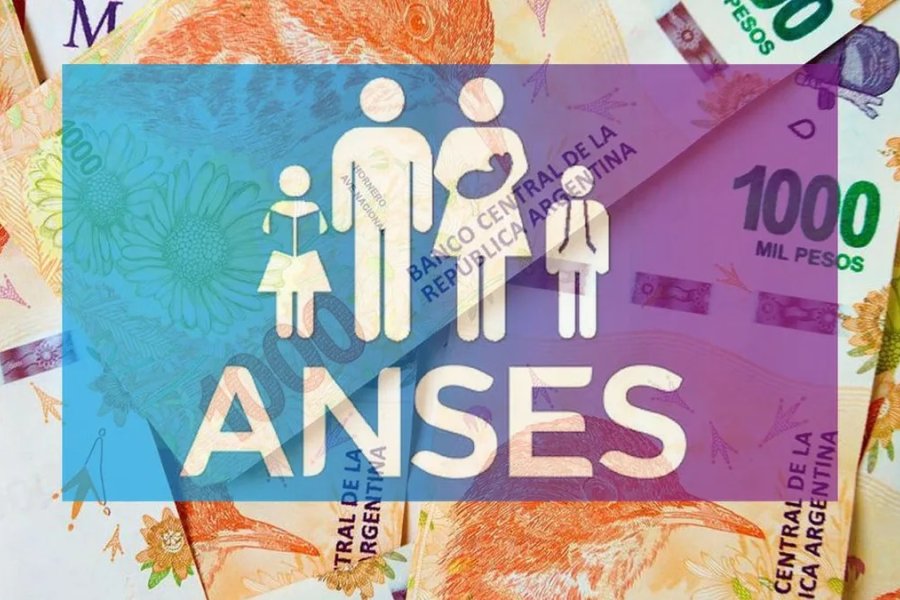 Manifiestan preocupación por la interrupción del Sistema Único de Asignaciones Familiares Manifiestan preocupación por la interrupción del Sistema Único de Asignaciones Familiares