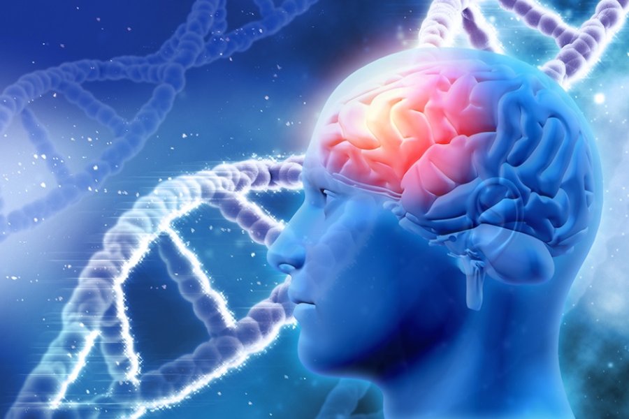 Un descubrimiento argentino podría transformar el tratamiento de la epilepsia Un descubrimiento argentino podría transformar el tratamiento de la epilepsia