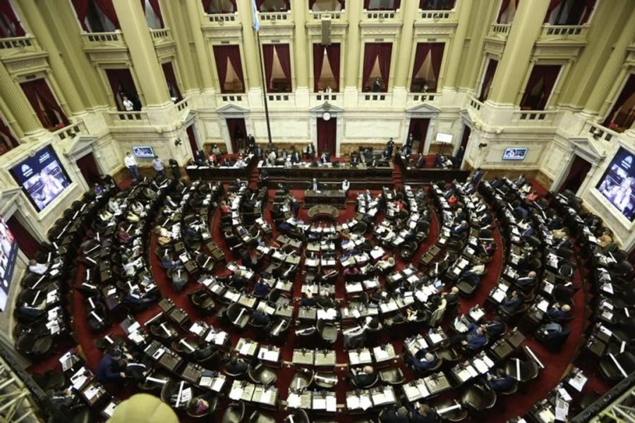 La libertad avanza y el pro serán la primera minoría en diputados con casi 110 bancas; necesitarán aliados para sancionar leyes La libertad avanza y el pro serán la primera minoría en diputados con casi 110 bancas; necesitarán aliados para sancionar leyes
