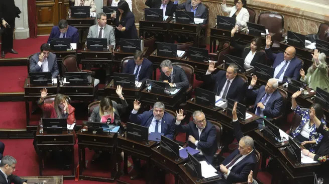Elecciones 2025: Se renueva un tercio del Senado, ¿cuáles son los escenarios posibles?