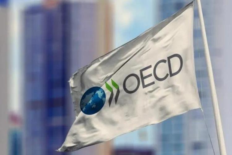 Argentina avanza hacia la adhesión plena a la OCDE con la entrega del memorándum