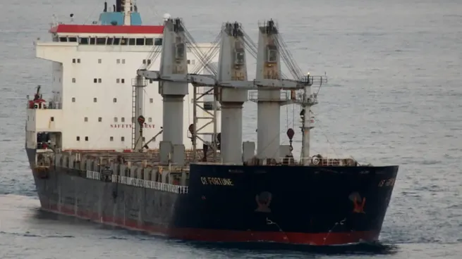 Llega a Río Negro barco con caños para el Gasoducto del Proyecto Argentina FLNG