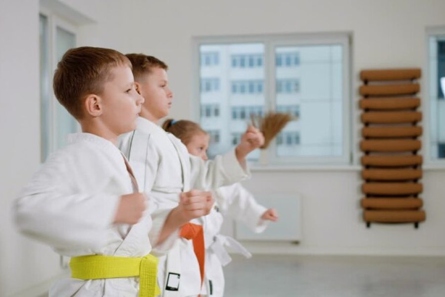 Deportes y Recreación: Anuncian un Campamento Marcial Infantil en Santiago del Estero Deportes y Recreación: Anuncian un Campamento Marcial Infantil en Santiago del Estero