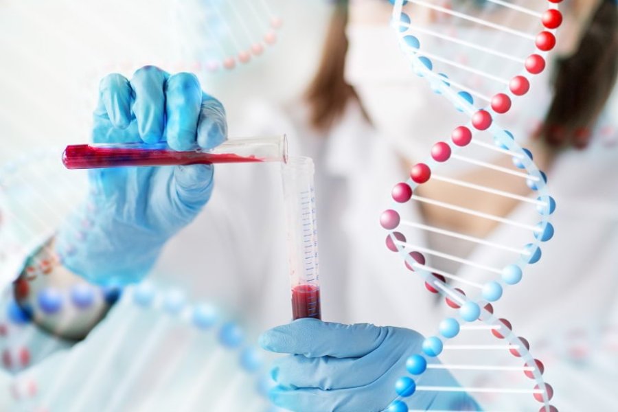 Ciencia e Historia: Identifican un Linaje Genético Único de Argentina con más de 8.000 Años de Antigüedad Ciencia e Historia: Identifican un Linaje Genético Único de Argentina con más de 8.000 Años de Antigüedad