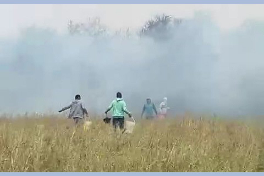 Sucesos: Incendio Forestal Afectó Montes de La Ribera y Amenazó Viviendas Cerca de Beltrán Sucesos: Incendio Forestal Afectó Montes de La Ribera y Amenazó Viviendas Cerca de Beltrán