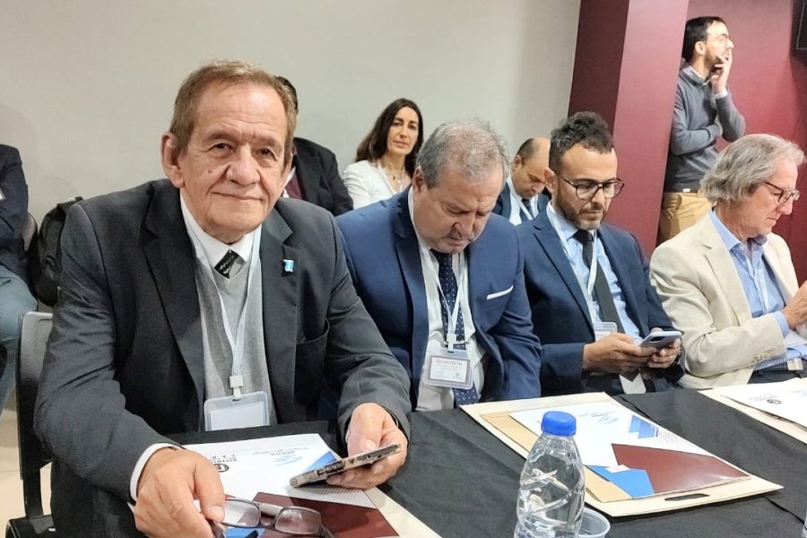 Luis Ger, Defensor del Pueblo de Santiago fue elegido Delegado ante la FIO