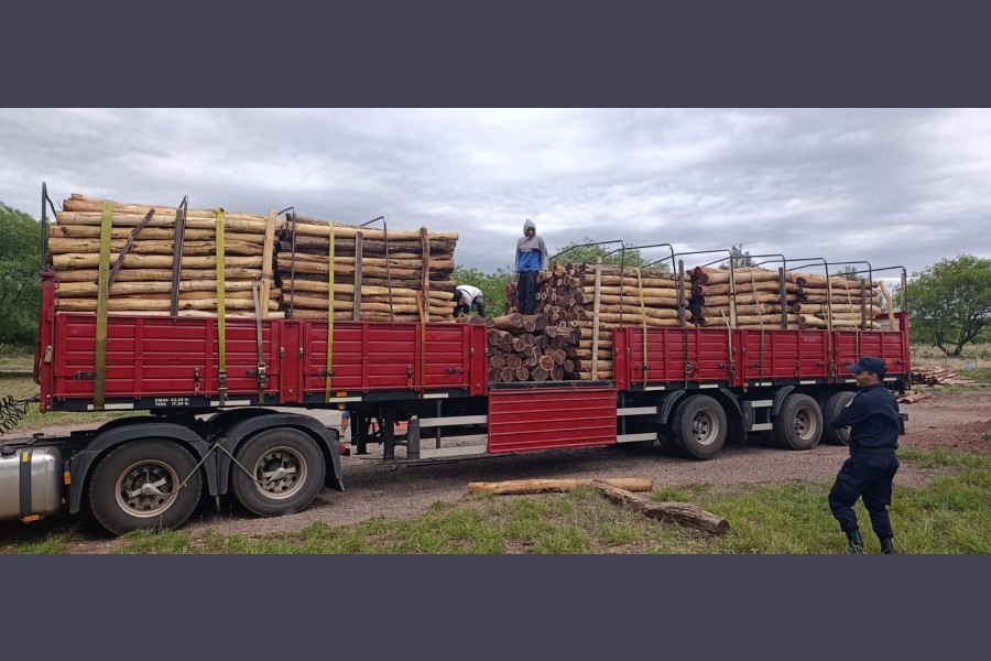 Secuestran y decomisan carga irregular de postes de Itín en un control en Ojo de Agua Secuestran y decomisan carga irregular de postes de Itín en un control en Ojo de Agua