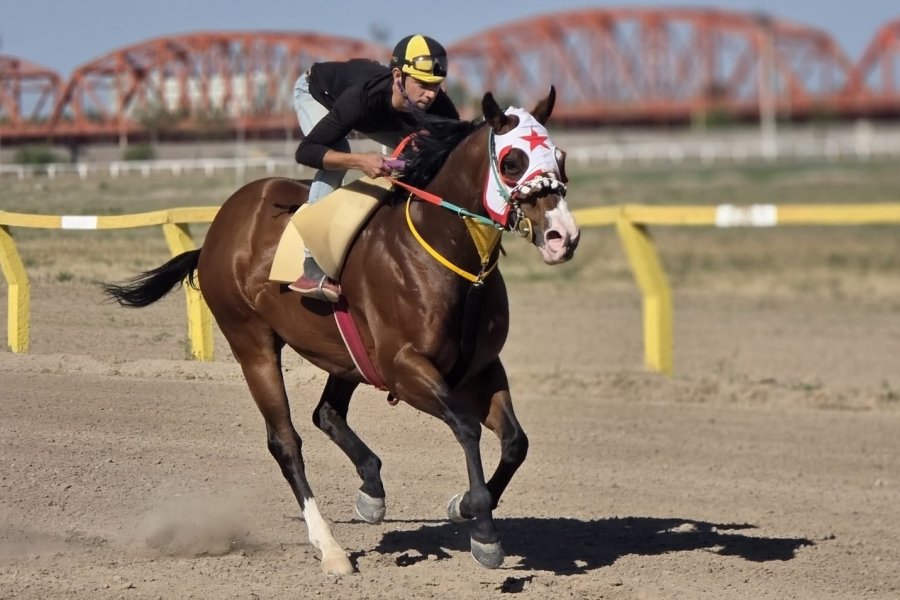 Fin de semana de triple actividad turfística con el gran Premio Triple Corona Fin de semana de triple actividad turfística con el gran Premio Triple Corona
