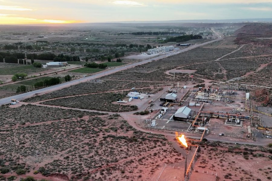 Vista Energy invertirá más de US$4.500 millones en Vaca Muerta